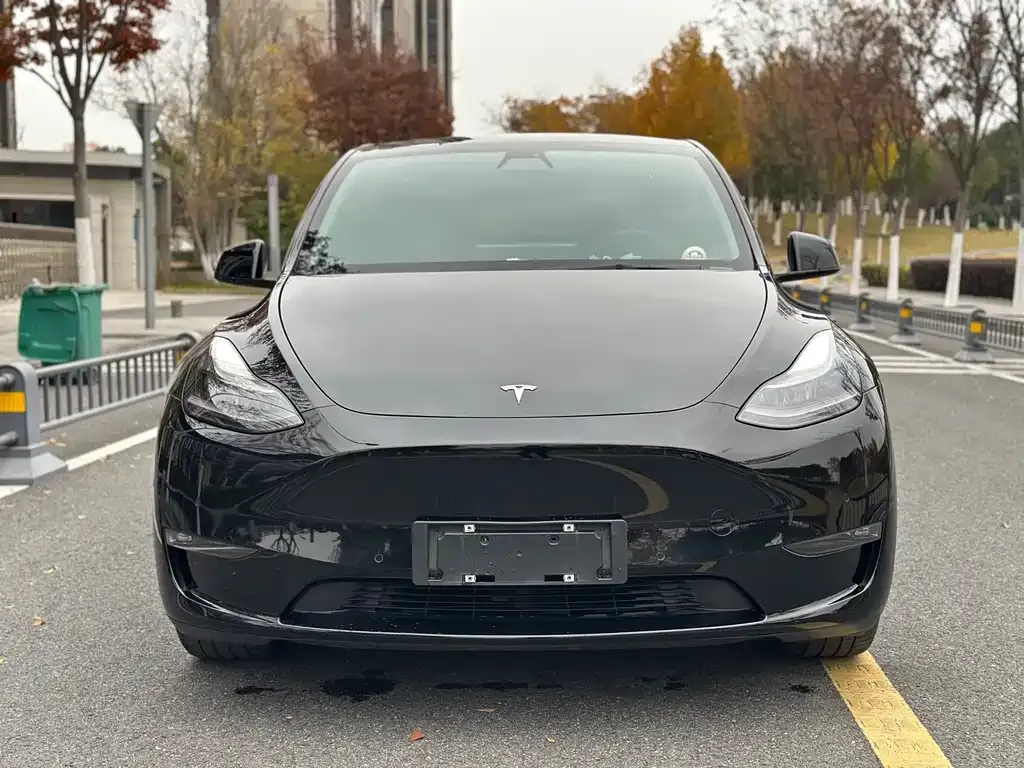Tesla Model Y — фото 2