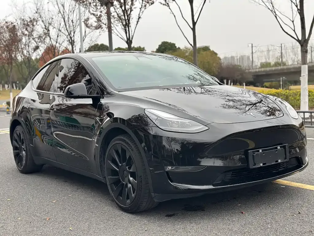 Tesla Model Y — фото 3