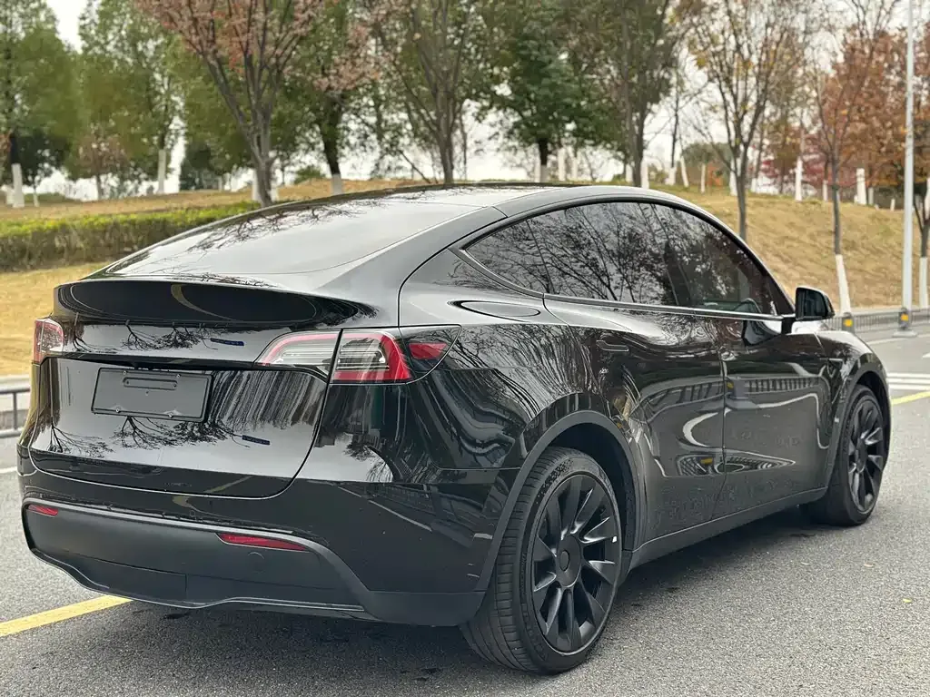 Tesla Model Y — фото 5