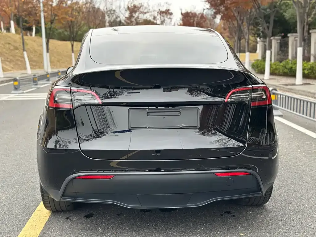 Tesla Model Y — фото 7