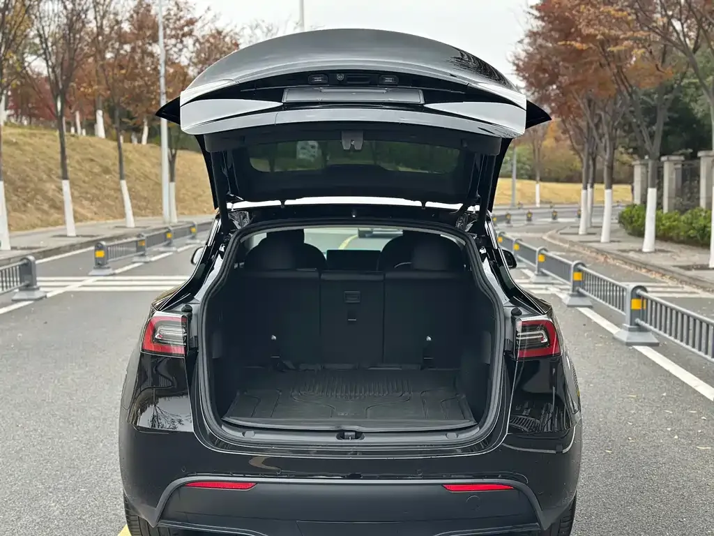 Tesla Model Y — фото 8