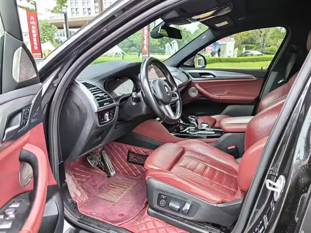 BMW X4 2021 из CN, фото 4