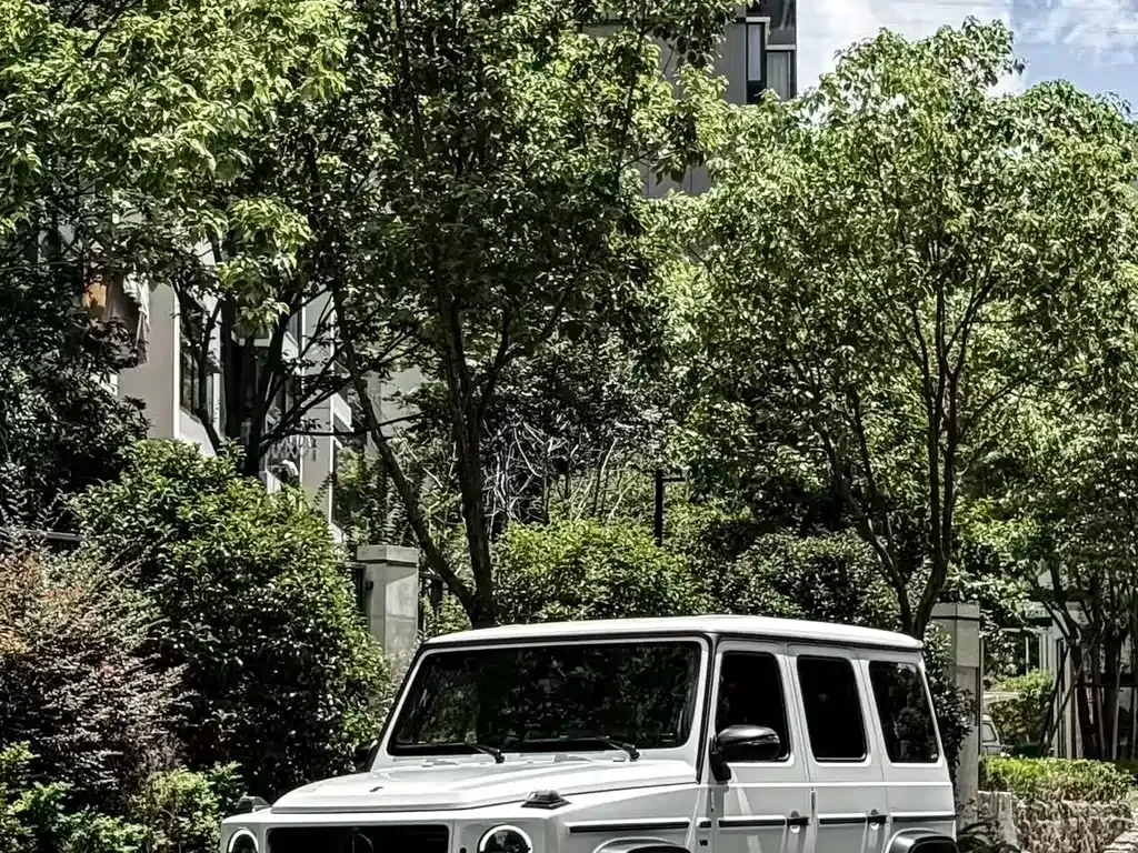 Mercedes-Benz G-Class 2023 из CN, фото 4