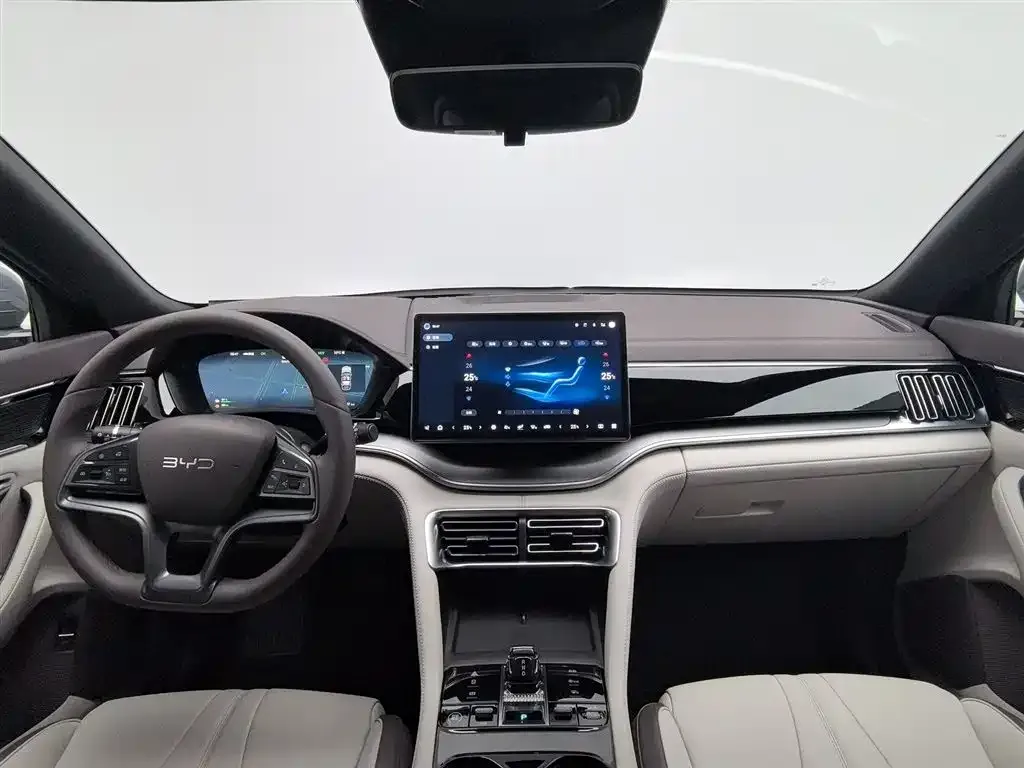 BYD PLUS New Energy 2025 из CN, фото 5