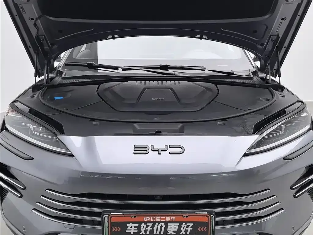 BYD PLUS New Energy 2025 из CN, фото 6