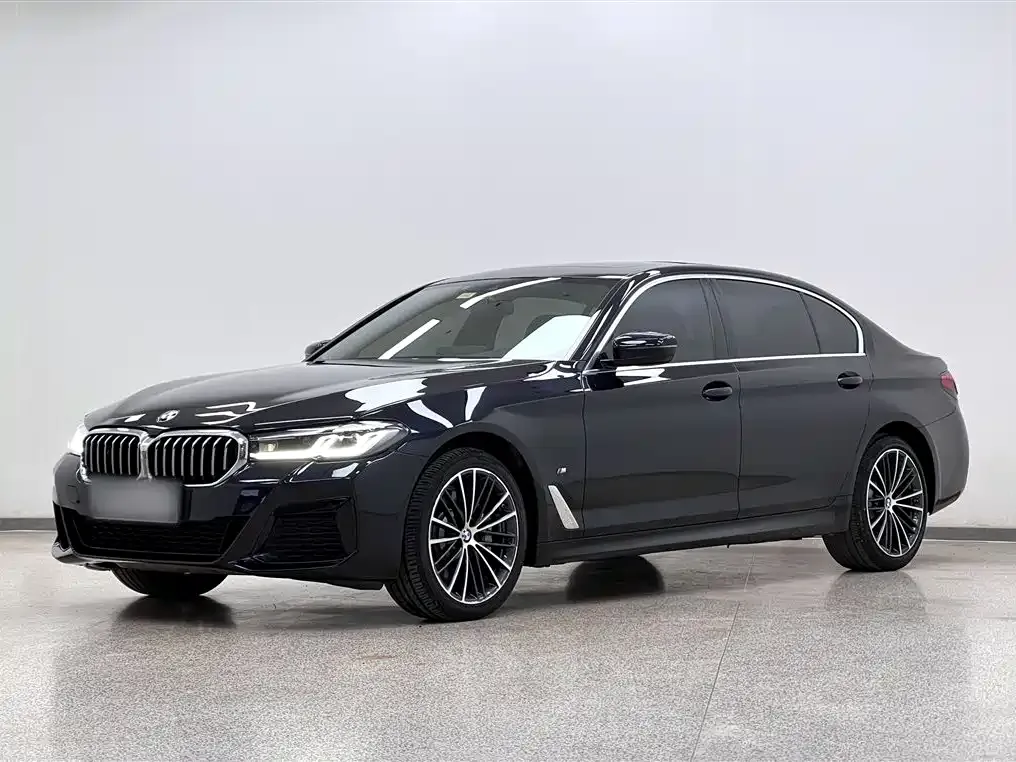 BMW 5 Series 2021 из CN, фото 1