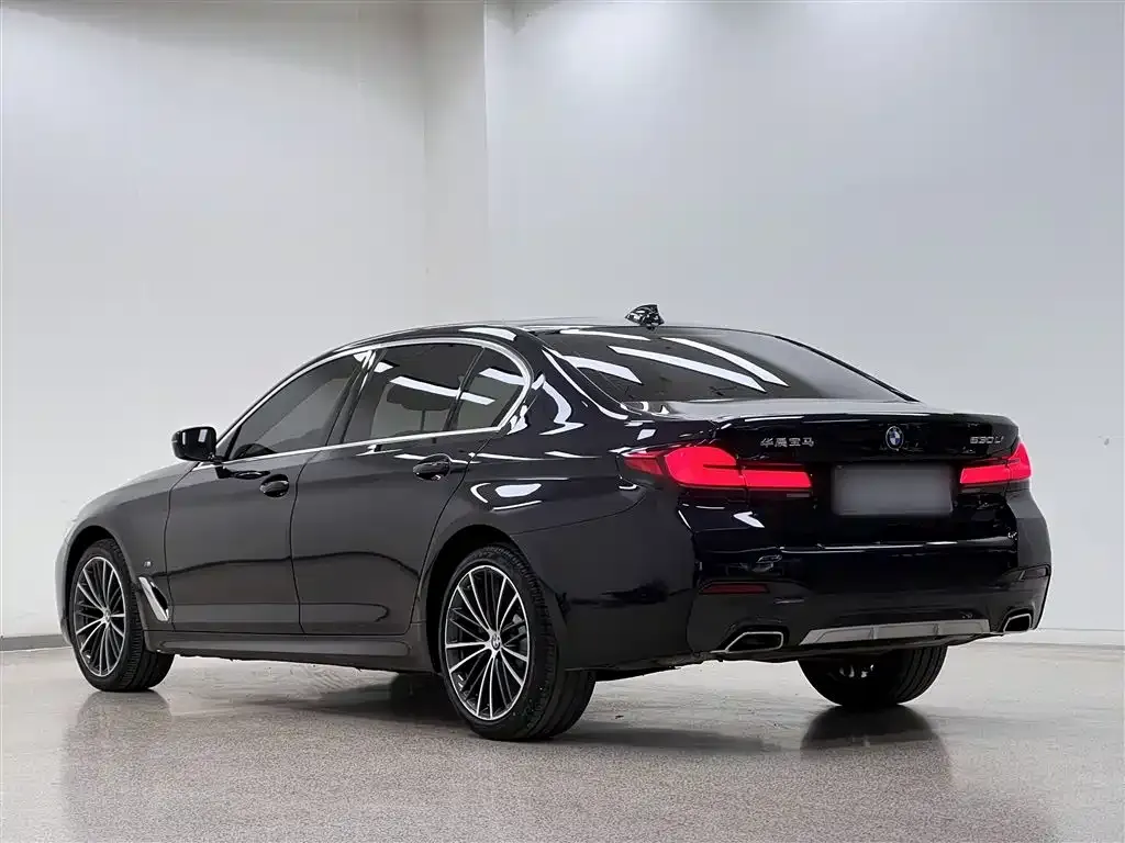 BMW 5 Series 2021 из CN, фото 10