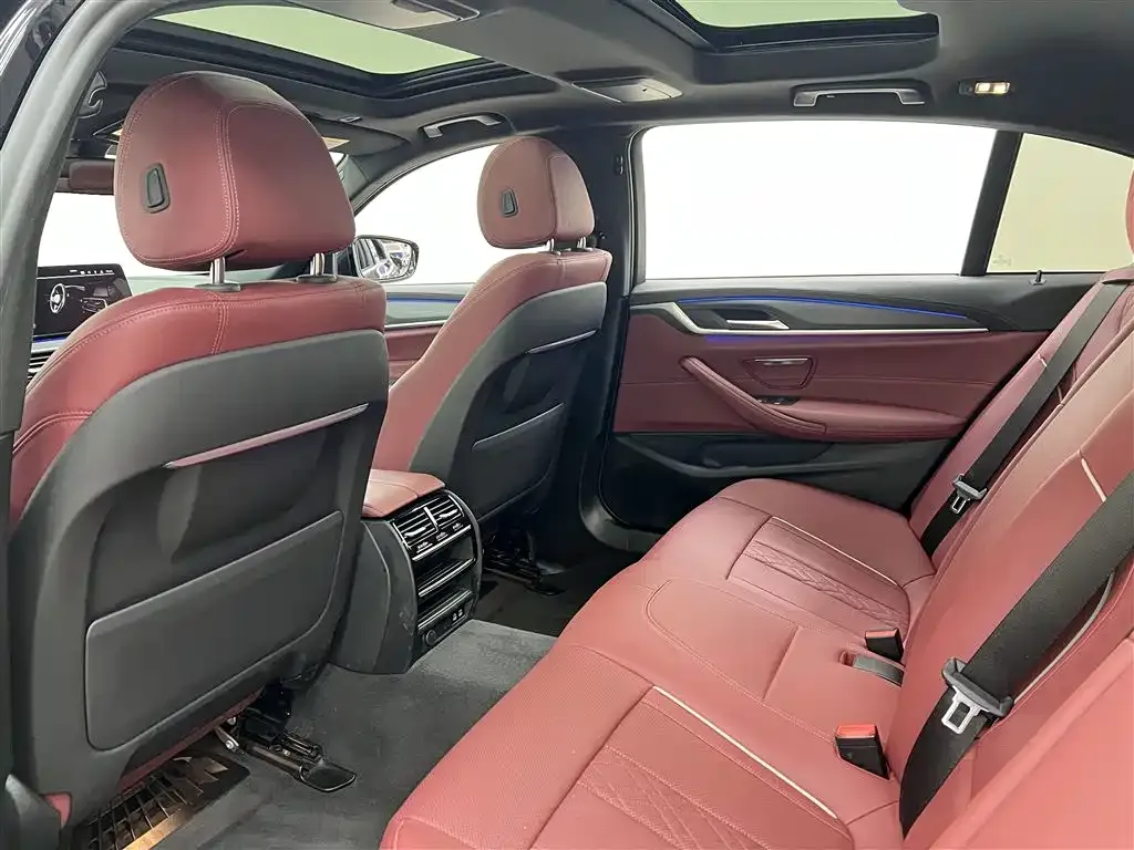 BMW 5 Series 2021 из CN, фото 4