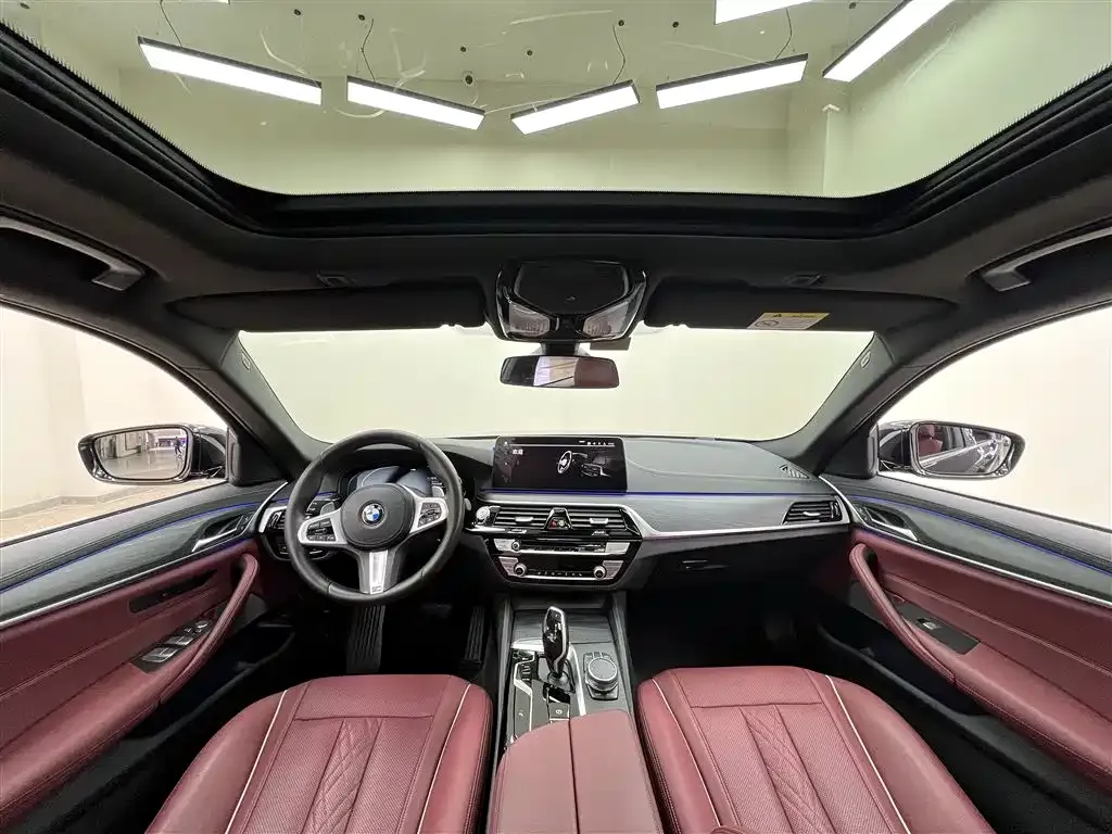 BMW 5 Series 2021 из CN, фото 5