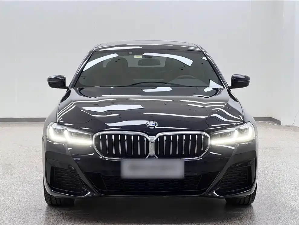 BMW 5 Series 2021 из CN, фото 7