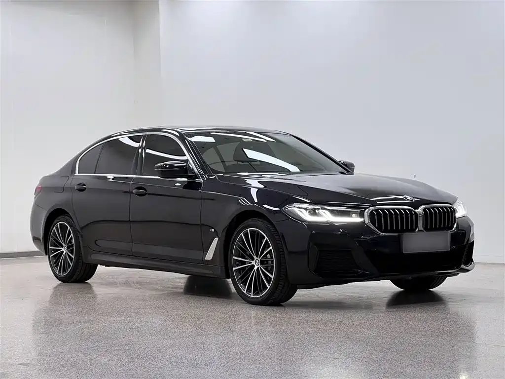 BMW 5 Series 2021 из CN, фото 8