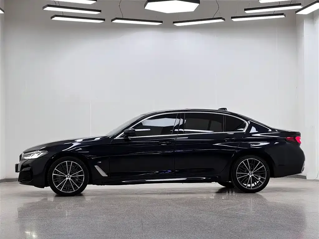 BMW 5 Series 2021 из CN, фото 9