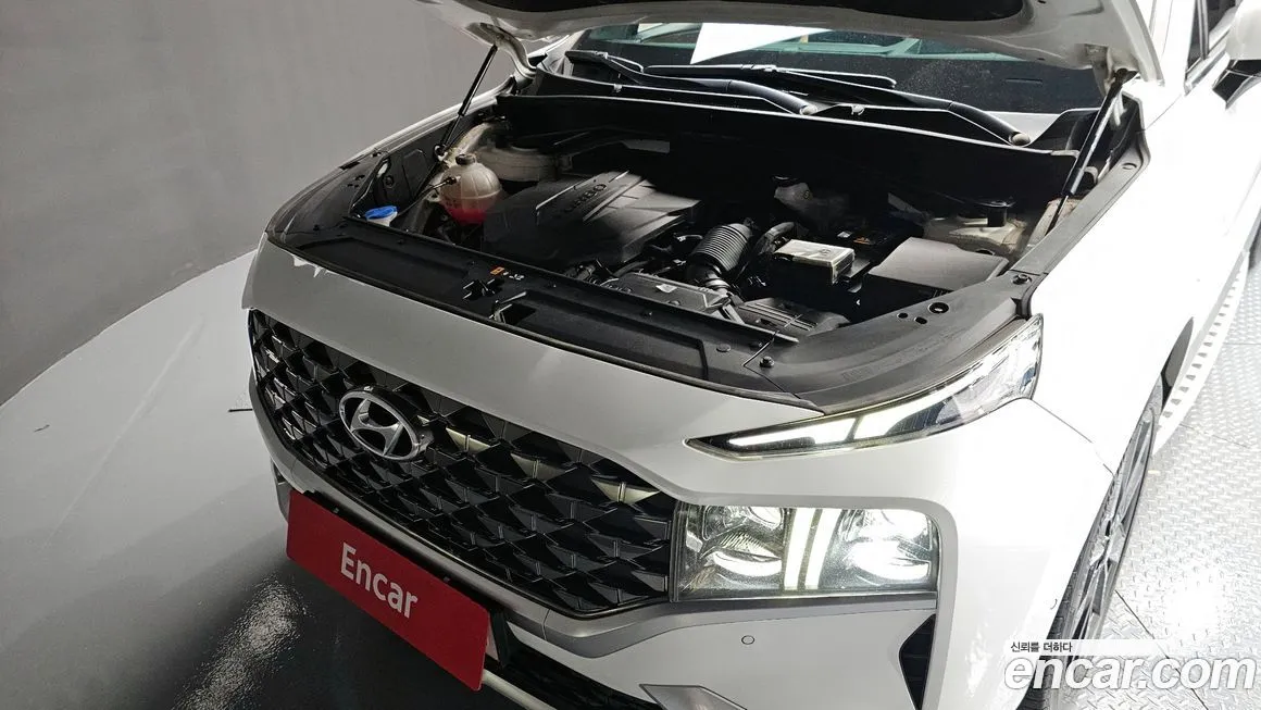 Hyundai Santafe 2021 из KR, фото 6
