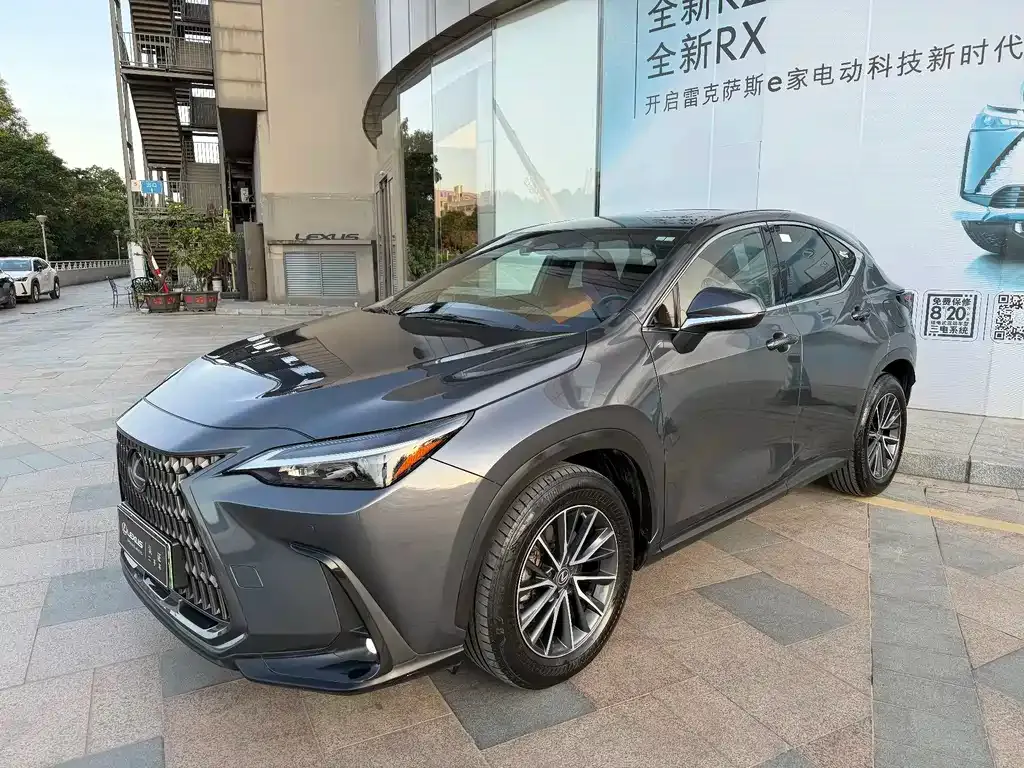 Lexus NX New Energy
