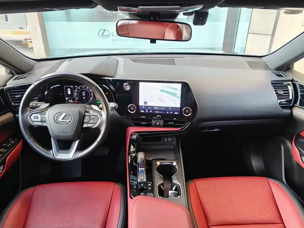 Lexus NX New Energy 2022 из CN, фото 10