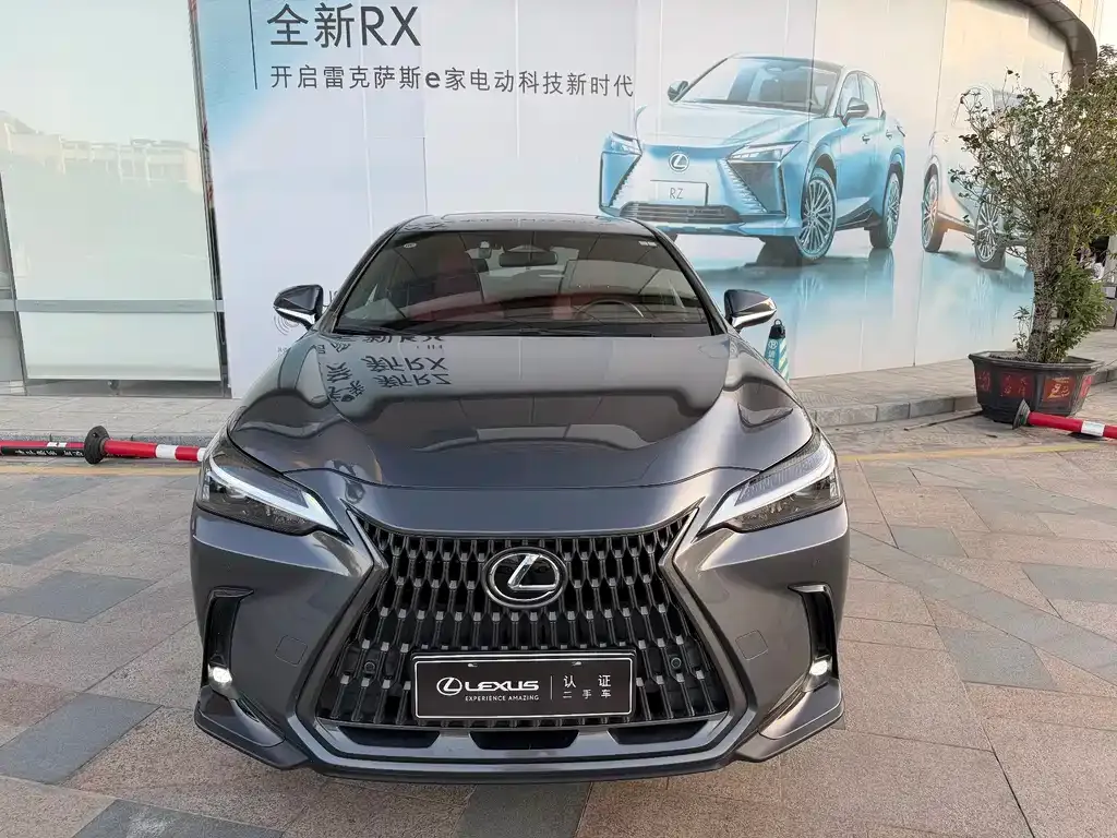 Lexus NX New Energy 2022 из CN, фото 2