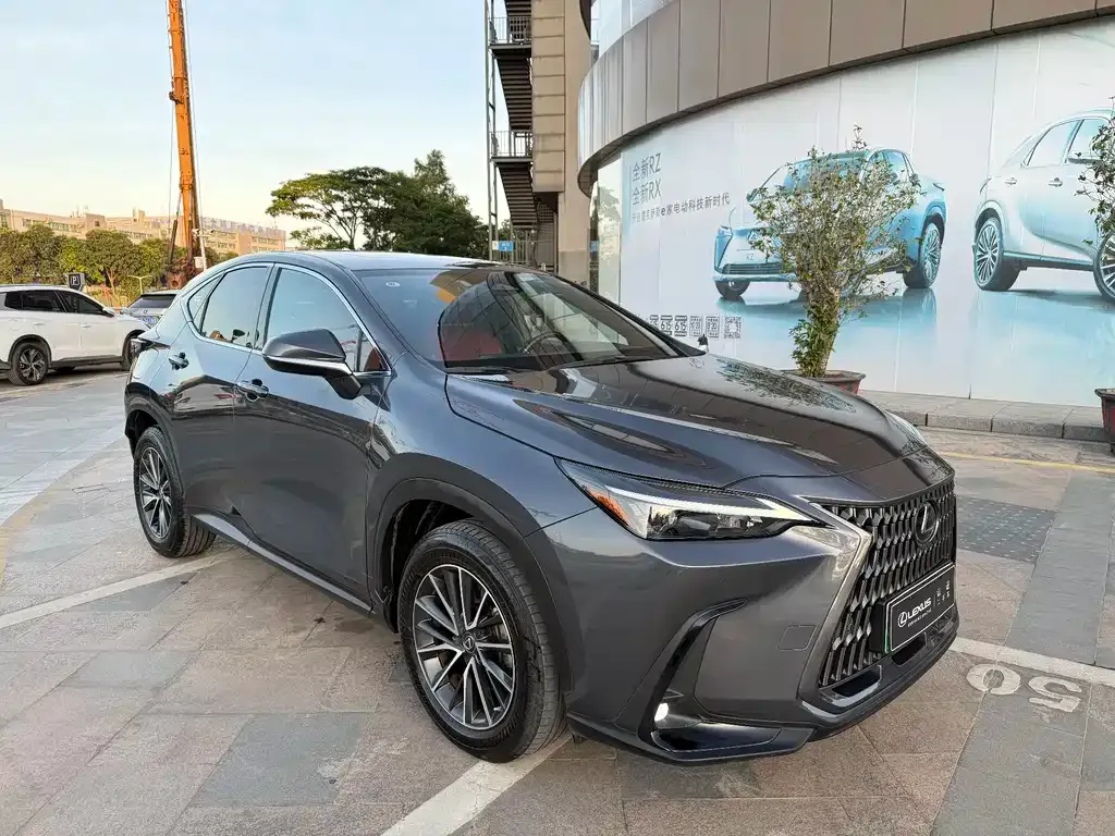 Lexus NX New Energy 2022 из CN, фото 4