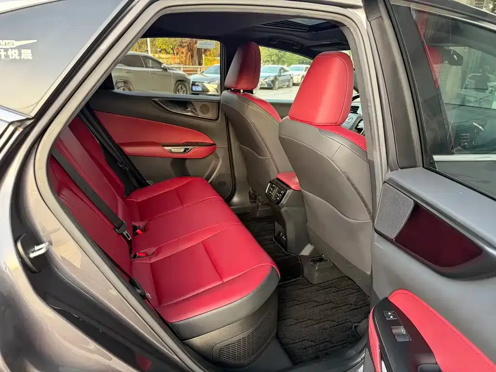 Lexus NX New Energy 2022 из CN, фото 5