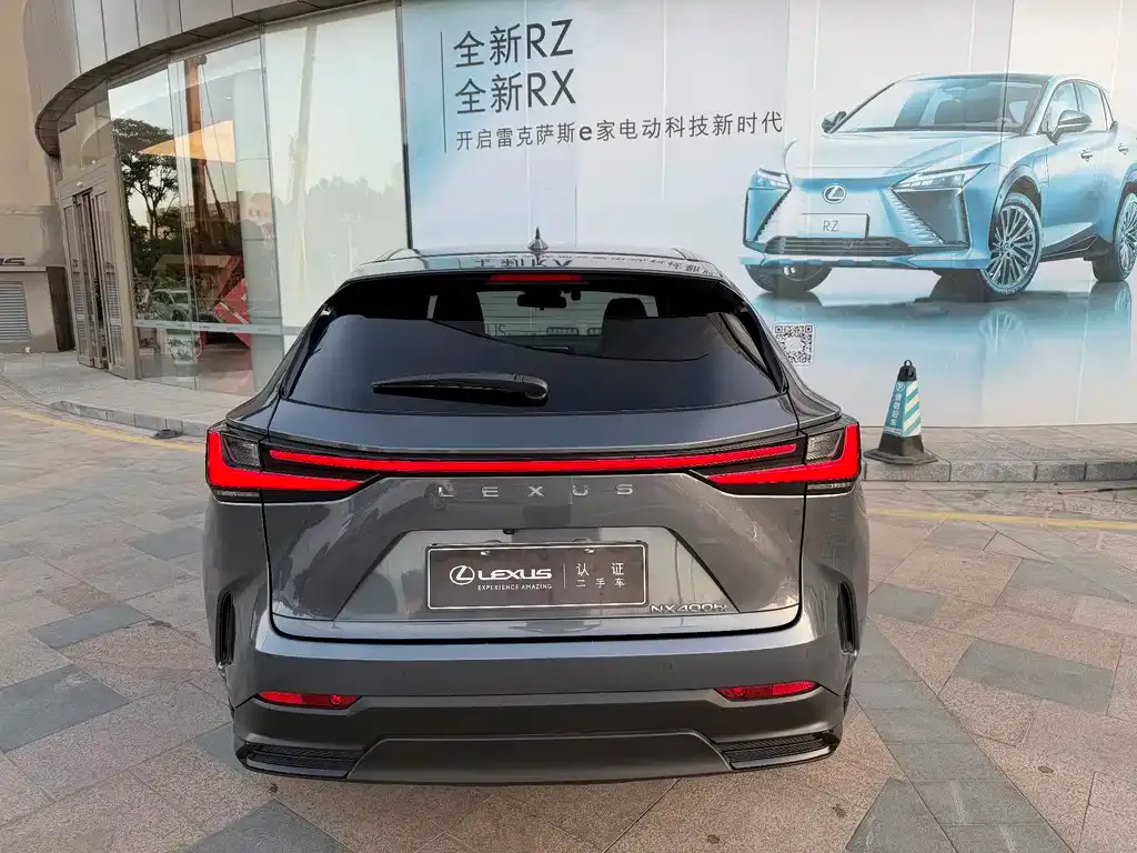 Lexus NX New Energy 2022 из CN, фото 6
