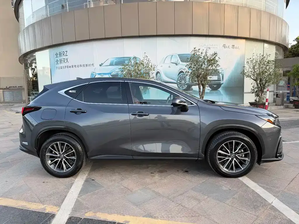 Lexus NX New Energy 2022 из CN, фото 7