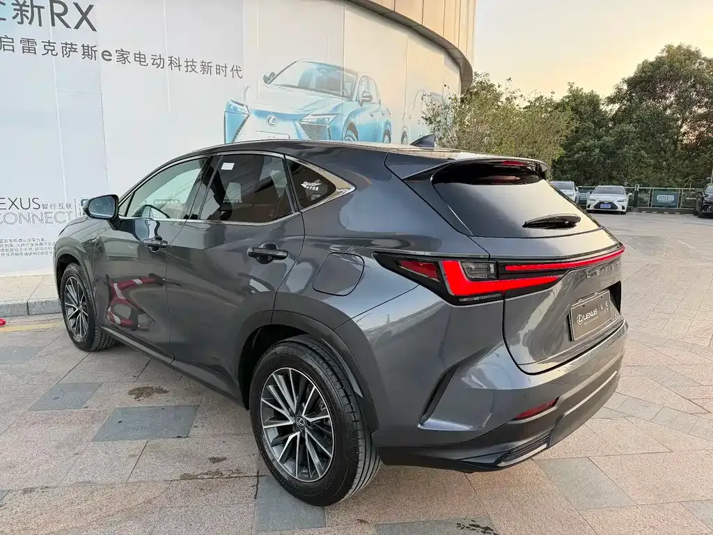 Lexus NX New Energy 2022 из CN, фото 9