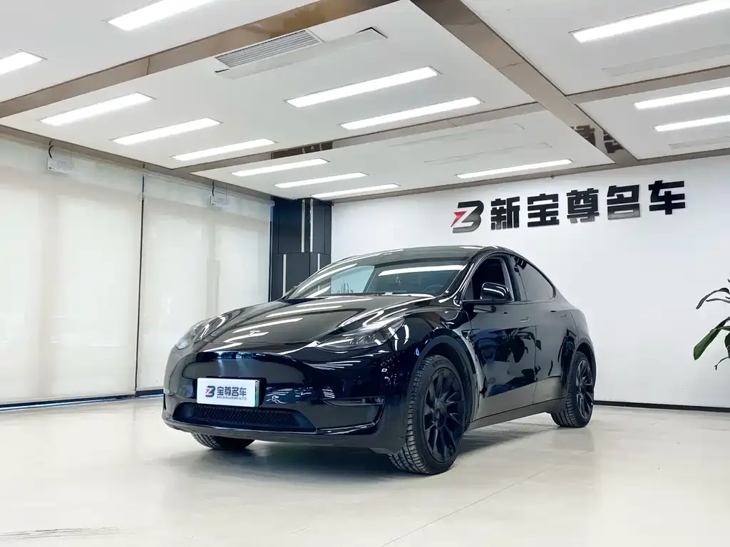 Tesla Model Y 2023 из CN, фото 1