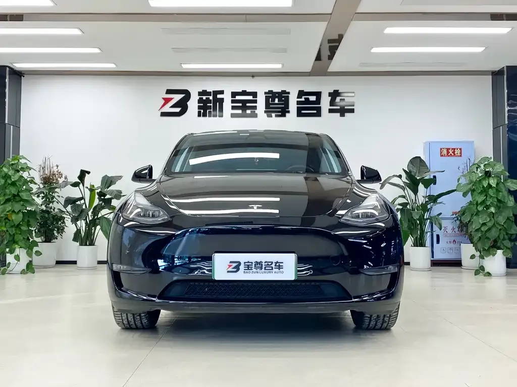 Tesla Model Y 2023 из CN, фото 2