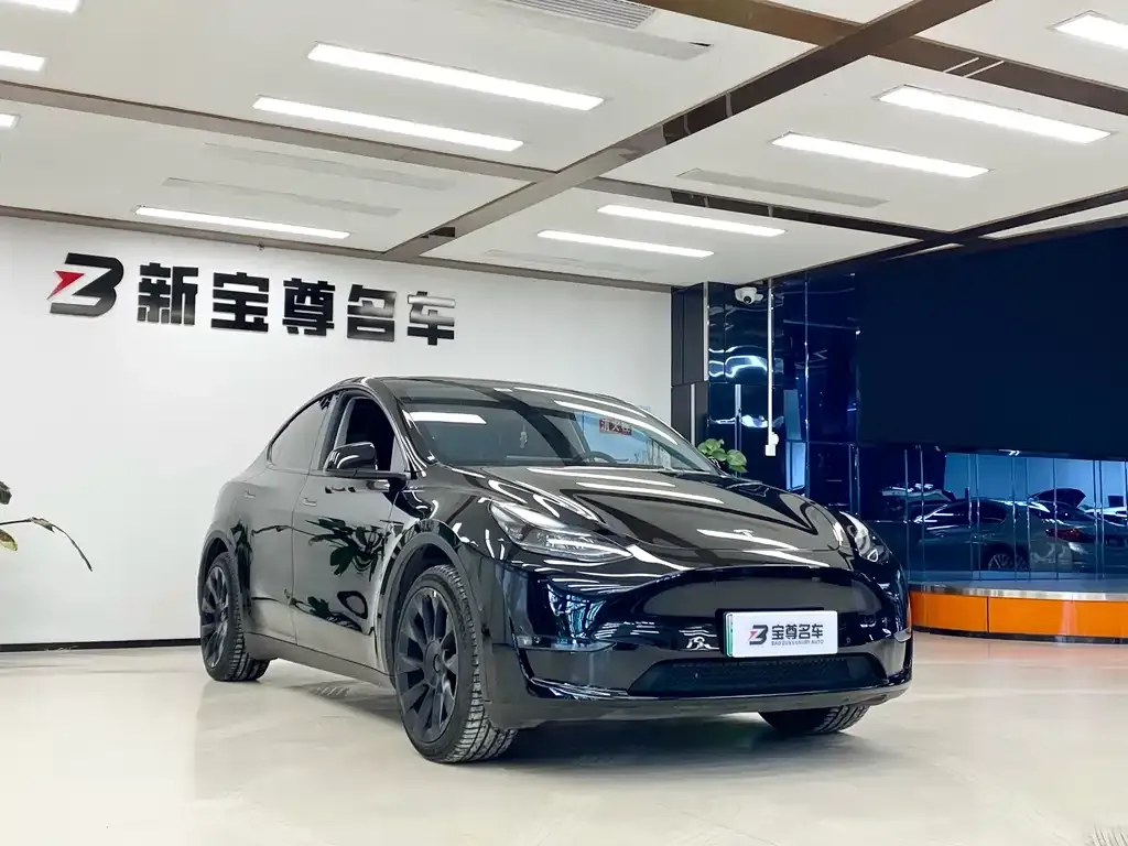Tesla Model Y 2023 из CN, фото 3