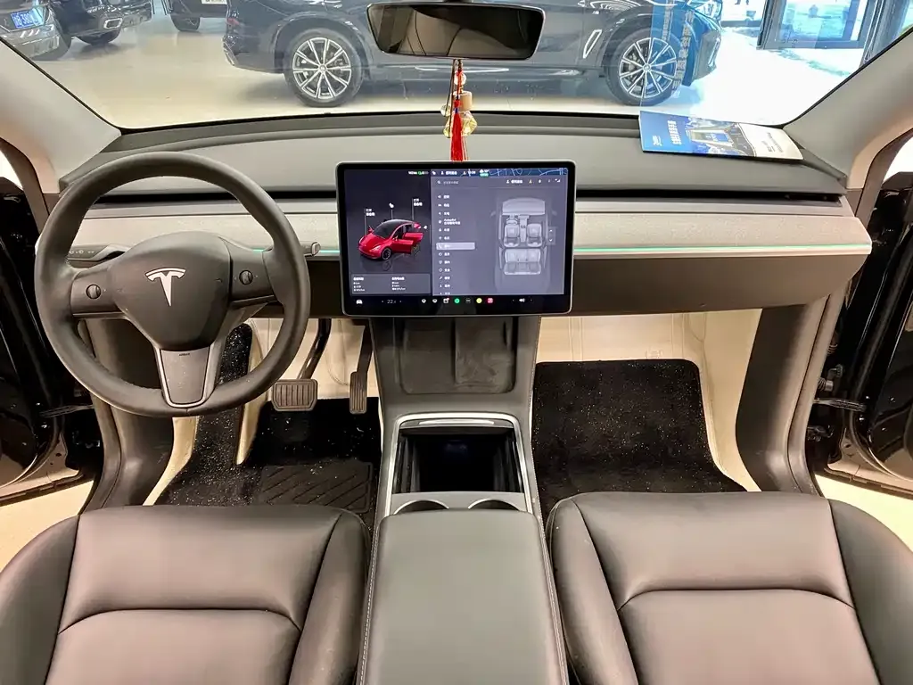 Tesla Model Y 2023 из CN, фото 9