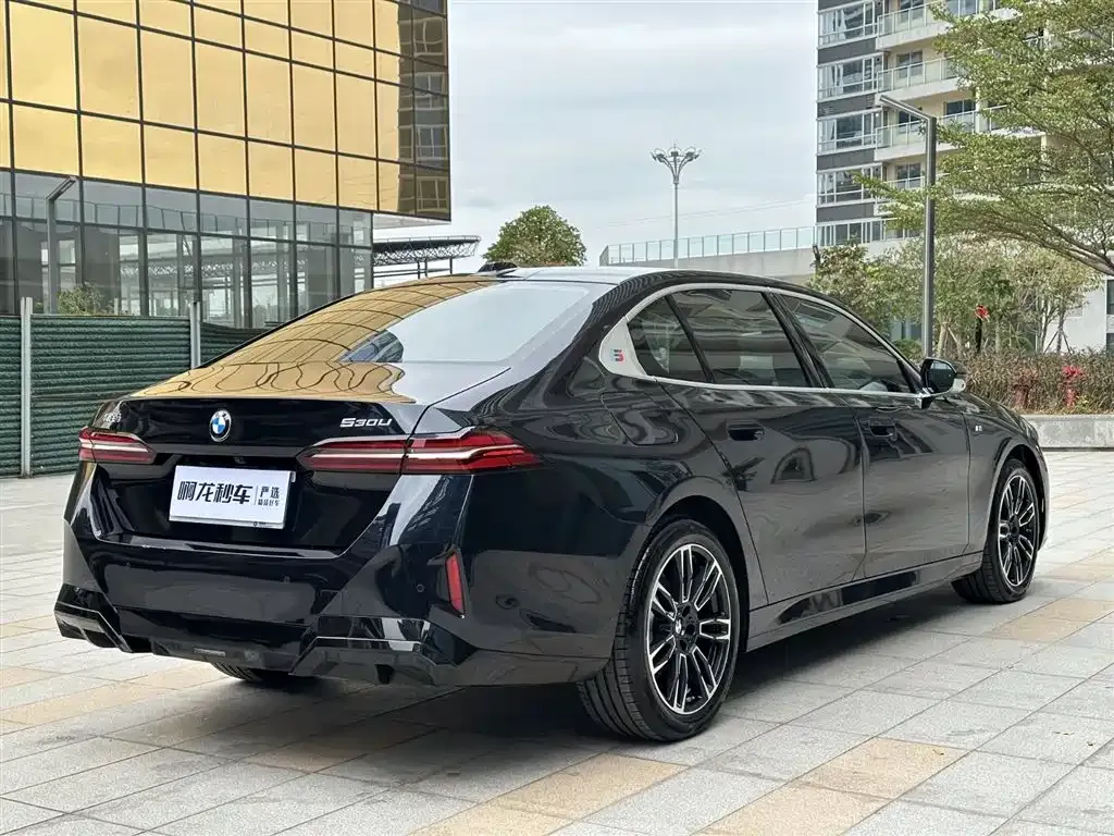 BMW 5 Series 2025 из CN, фото 4