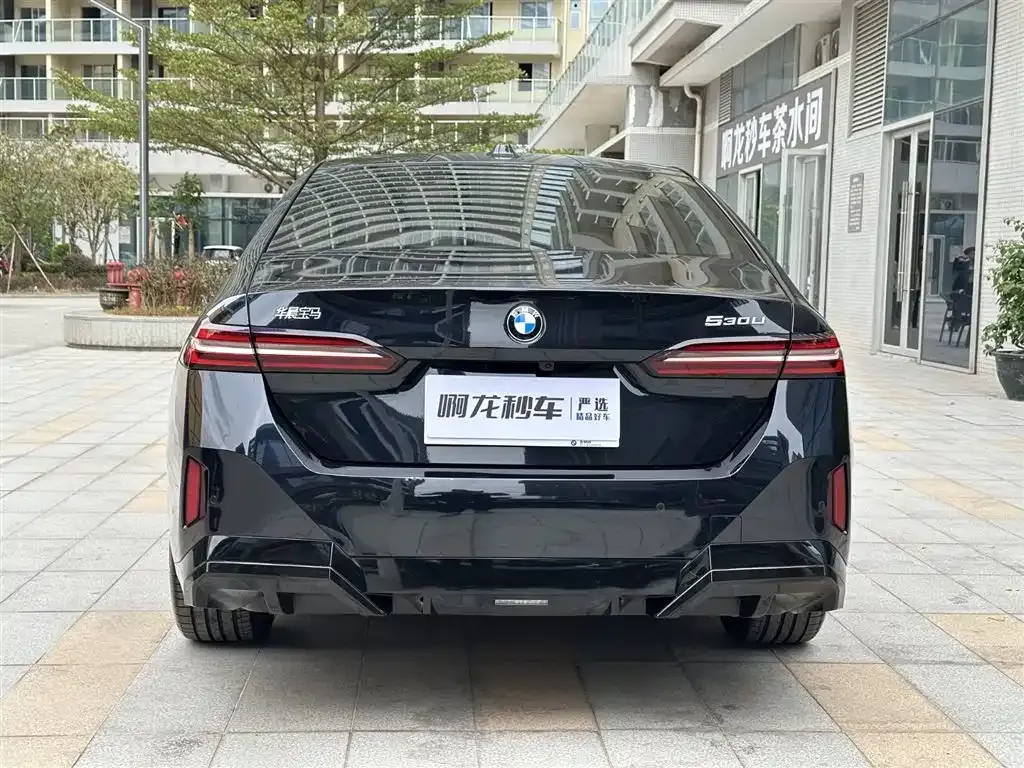BMW 5 Series 2025 из CN, фото 5
