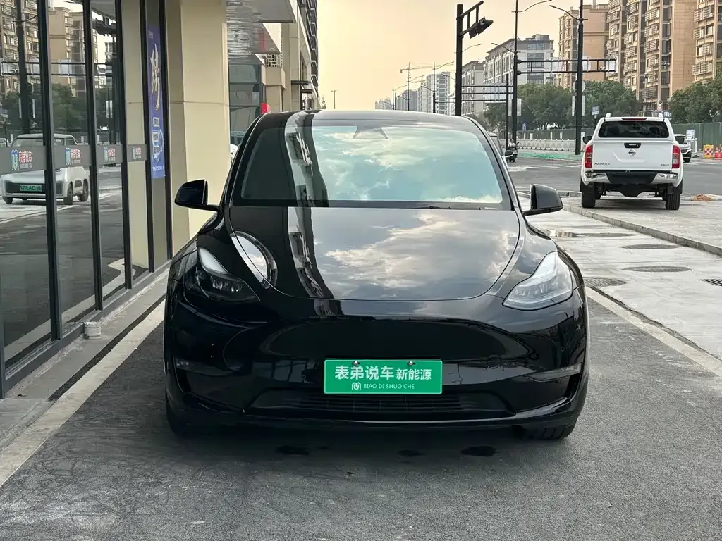 Tesla Model Y 2022 из CN, фото 2