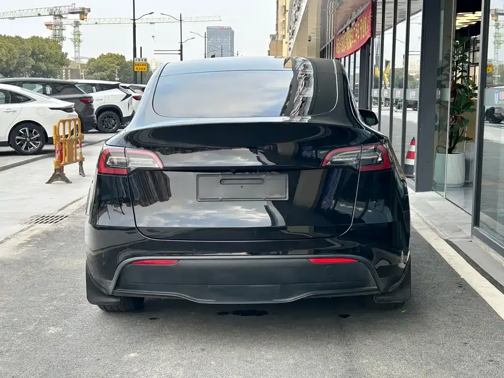 Tesla Model Y 2022 из CN, фото 4