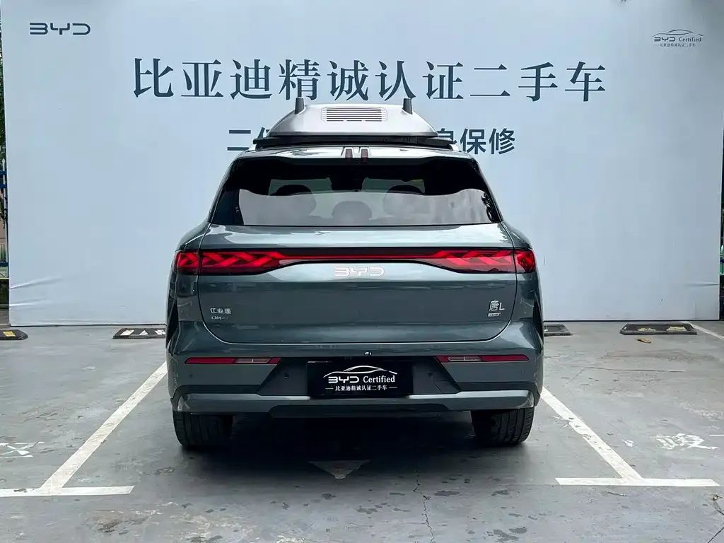 BYD Tang L 2025 из CN, фото 4