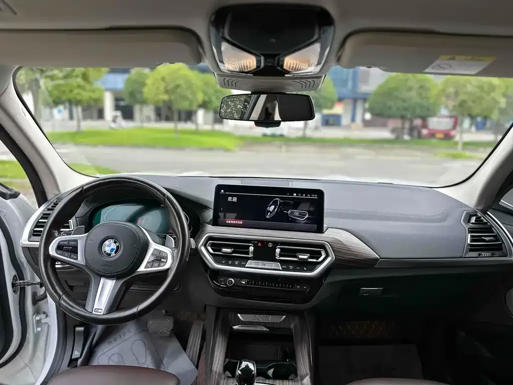 BMW X3 2021 из CN, фото 6