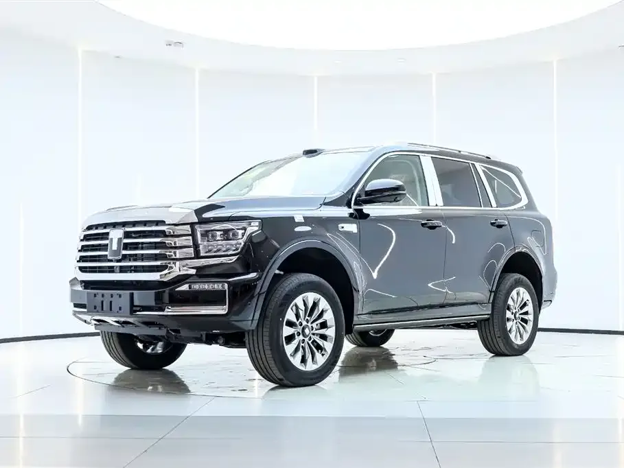 Tank 500 New Energy 2025 из CN, фото 1