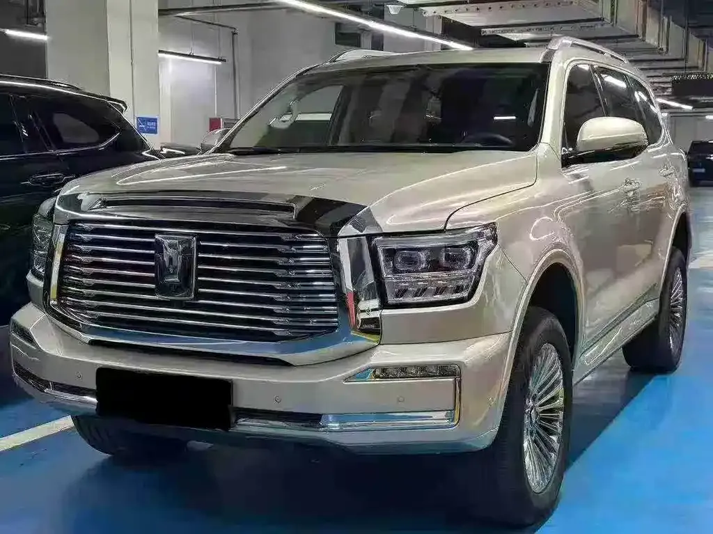 Tank 500 New Energy 2023 из CN, фото 2