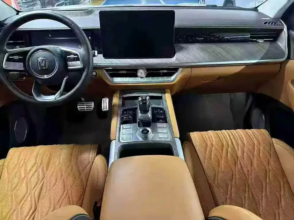 Tank 500 New Energy 2023 из CN, фото 4