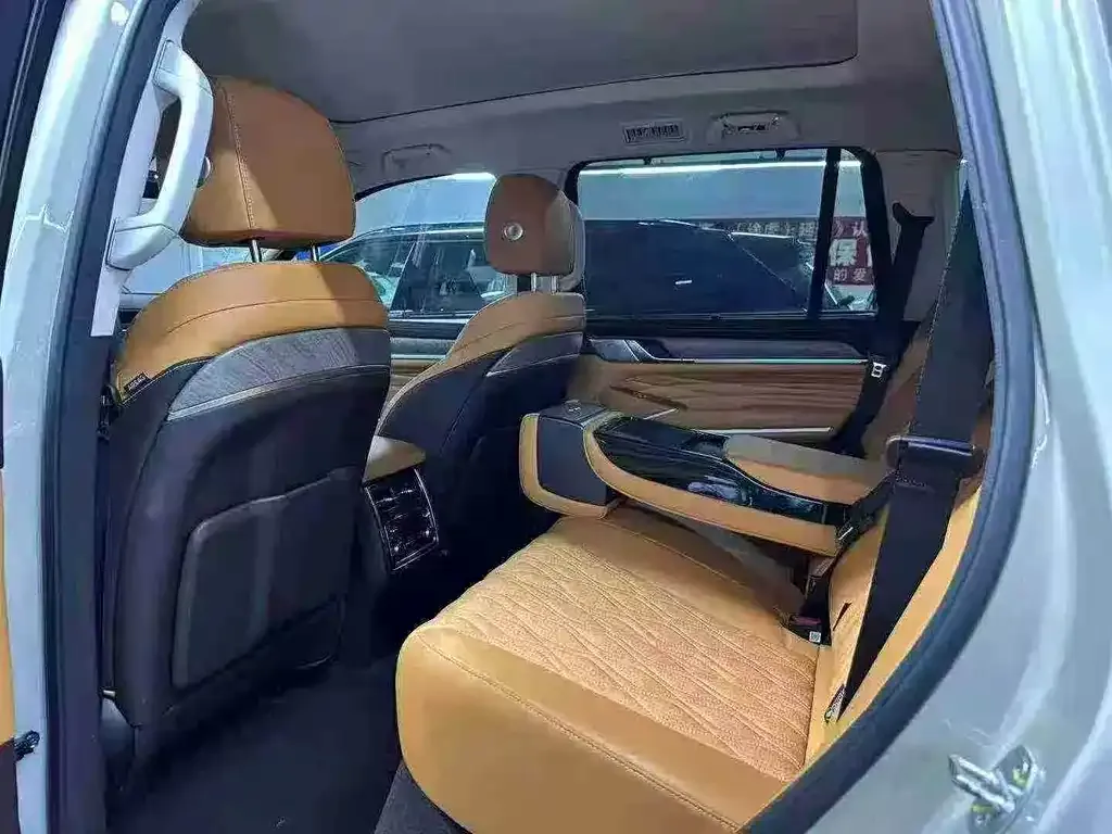 Tank 500 New Energy 2023 из CN, фото 6