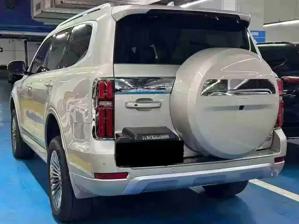 Tank 500 New Energy 2023 из CN, фото 7