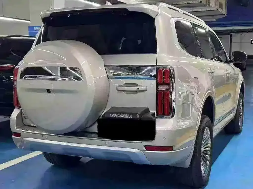 Tank 500 New Energy 2023 из CN, фото 9