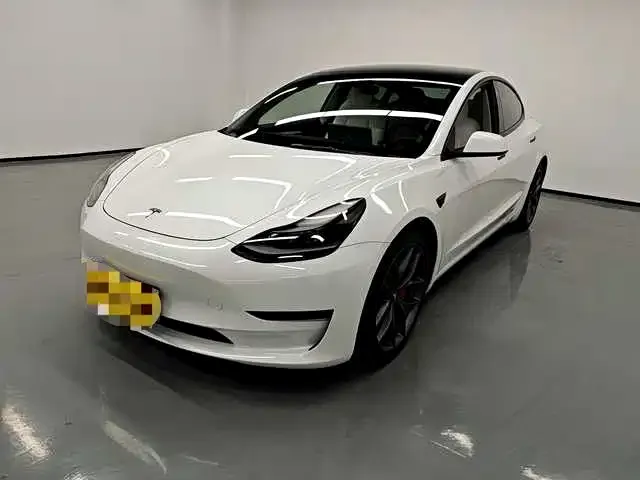 Tesla Model 3 2021 из CN, фото 1