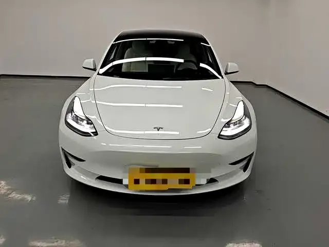 Tesla Model 3 2021 из CN, фото 2
