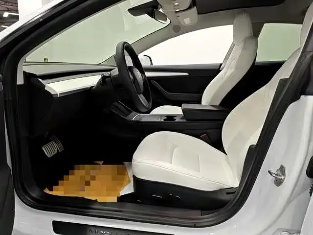 Tesla Model 3 2021 из CN, фото 5