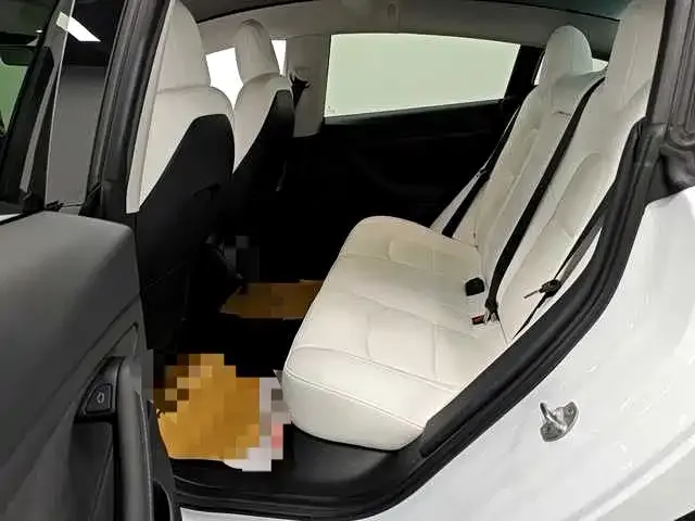 Tesla Model 3 2021 из CN, фото 6