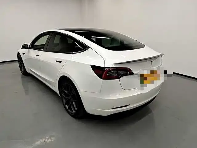 Tesla Model 3 2021 из CN, фото 7