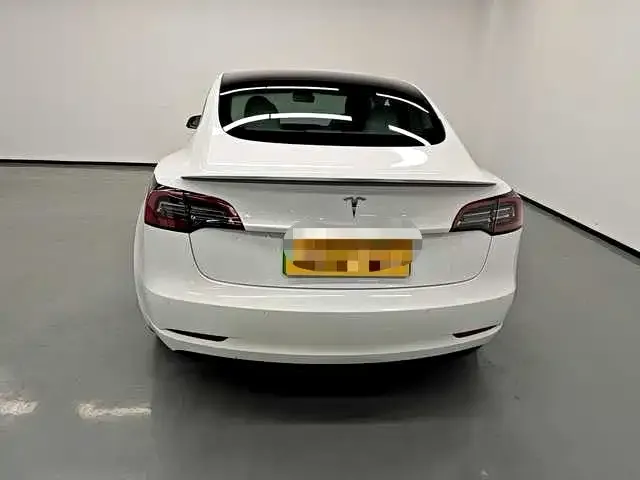 Tesla Model 3 2021 из CN, фото 9