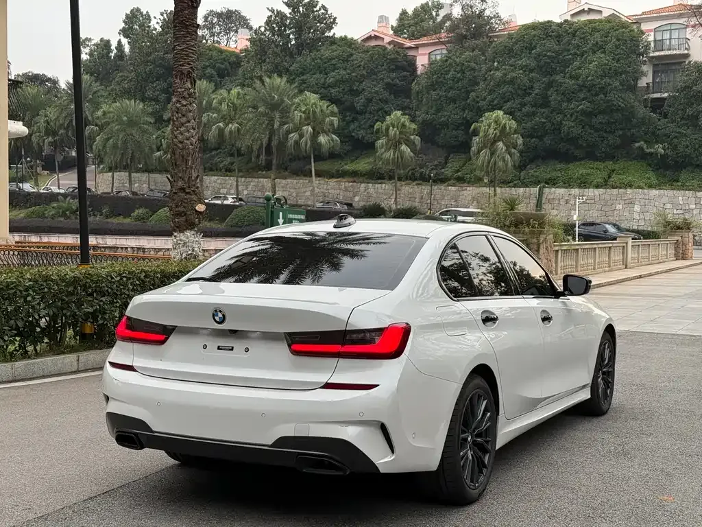 BMW 3 Series 2021 из CN, фото 5