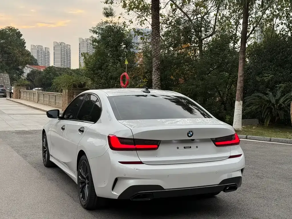 BMW 3 Series 2021 из CN, фото 7