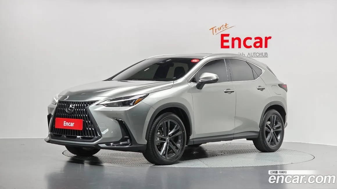 Lexus NX 2025 из KR, фото 1
